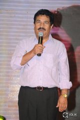 Hora Hori Movie Audio Launch